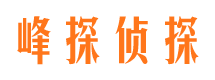 夷陵外遇出轨调查取证